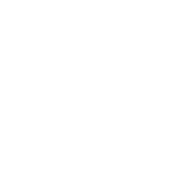 Lola's Escape